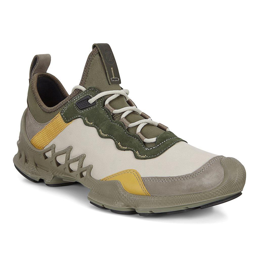 Ecco Biom Aex Mens Outdoor Boots Multicolour Online - India GMY-326105